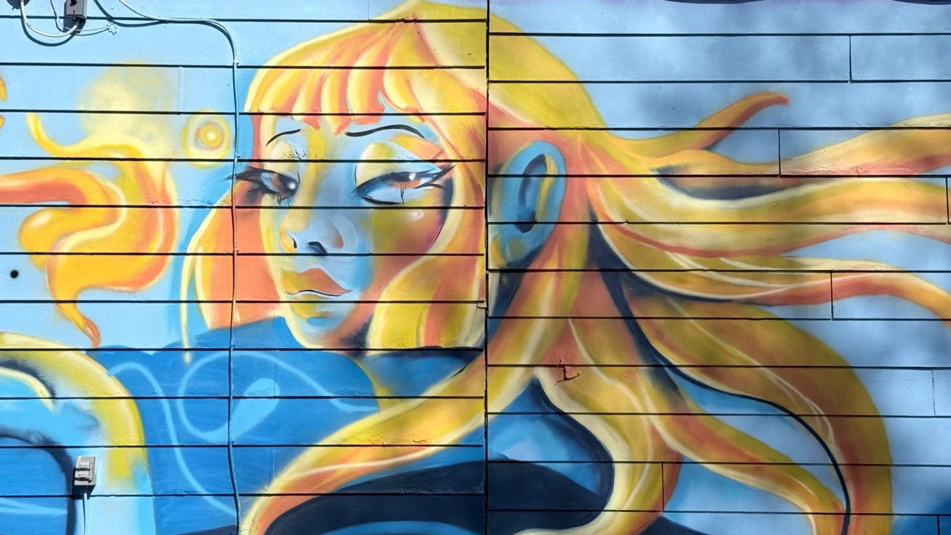 Mural artwork by Mente Muerta - Street art in Hull, Ottawa, Ontario