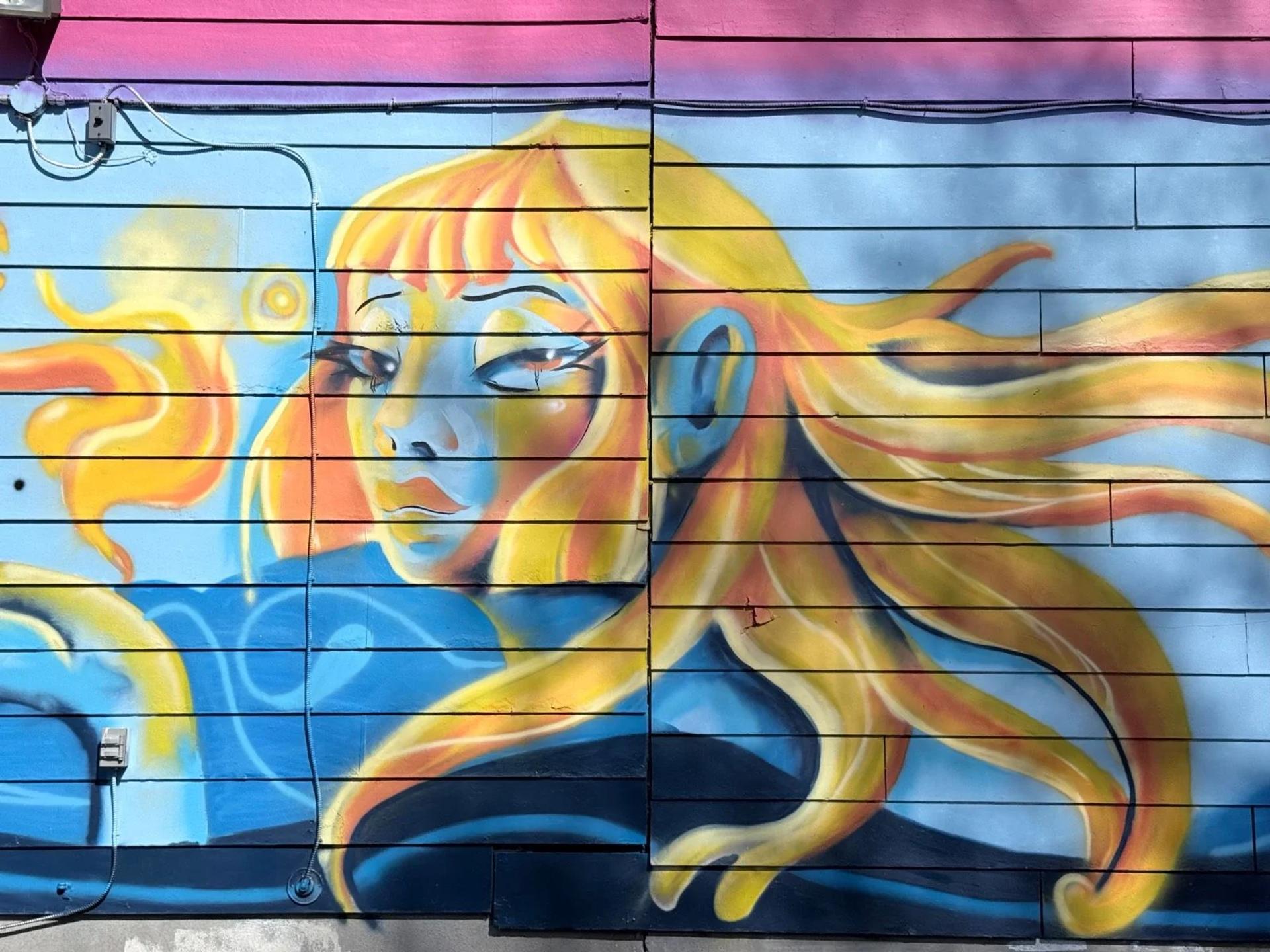 Mural artwork by Mente Muerta - Street art in Hull, Ottawa, Ontario