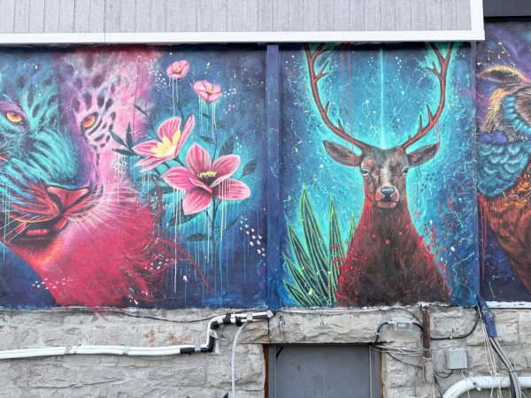 Mural artwork by Jhonatan Cano Vasquez - Street art in Hull, Ottawa, Ontario