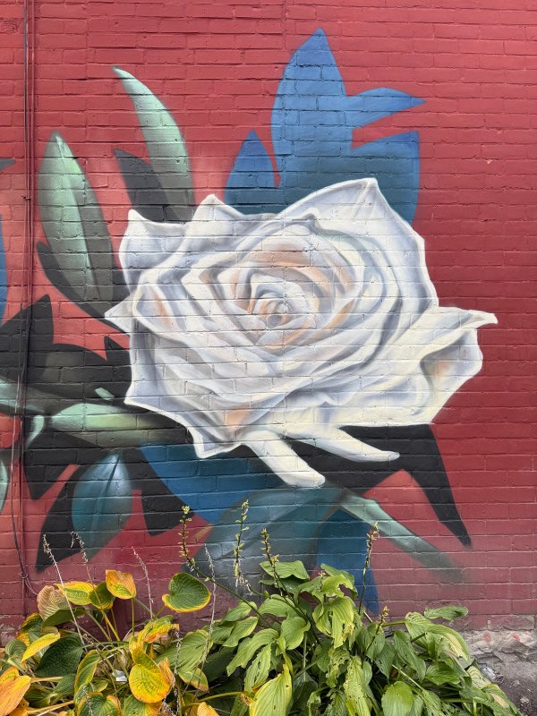 Unknown street art mural photo 2