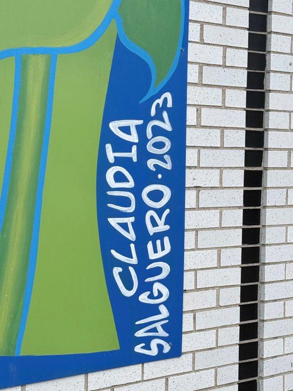 Mural artwork by Claudia Salguero - Street art in Golden Triangle, Ottawa, Ontario