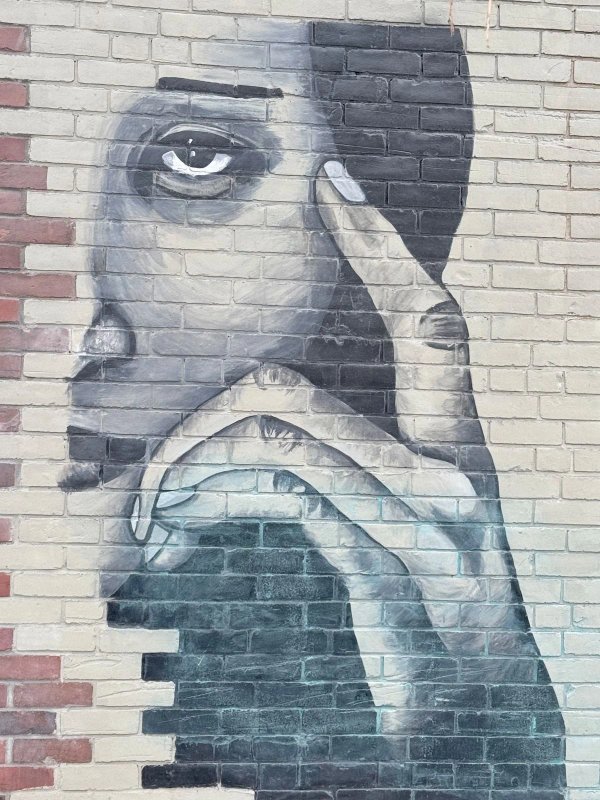 Public mural artwork in Rideau Gardens, Ottawa - Street art scene