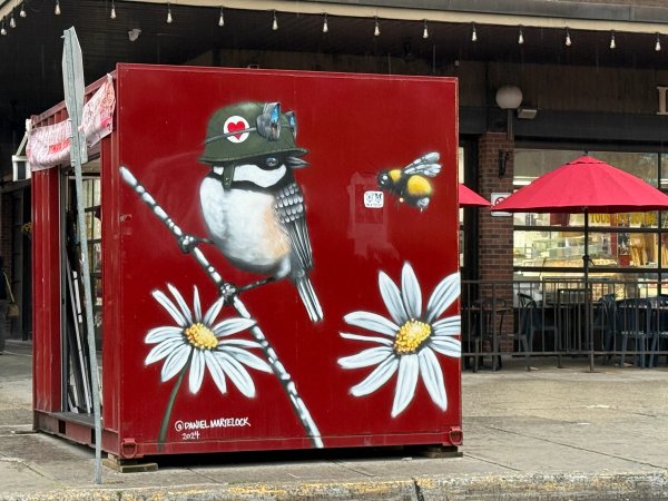 Whimsical urban wildlife mural by Daniel Martelock in downtown Ottawa. The artwork depicts a bird in military gear alongside daisies and a bee, representing the edgy and esoteric street art style of the Byward Market art district