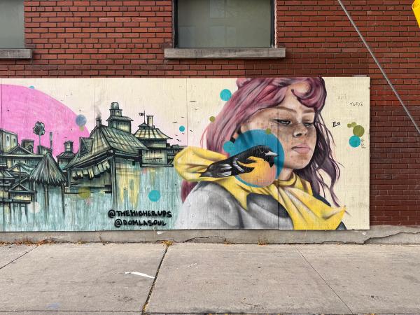 A Walk to the Jungle