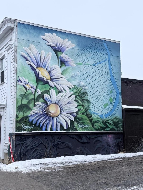 Vibrant mural of giant white and purple-tipped flowers over a ghosted architectural map of The Glebe district on a multi-story building wall.