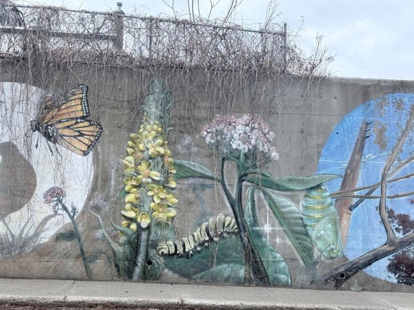 Mural artwork by Rene-Pierre Beaudry (ARPi) - Street art in Hintonburg, Ottawa, Ontario