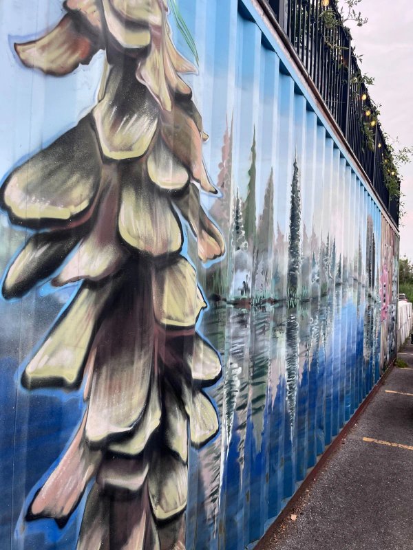 Mural artwork by Arpi - Street art in West Carleton-March, Ottawa, Ontario