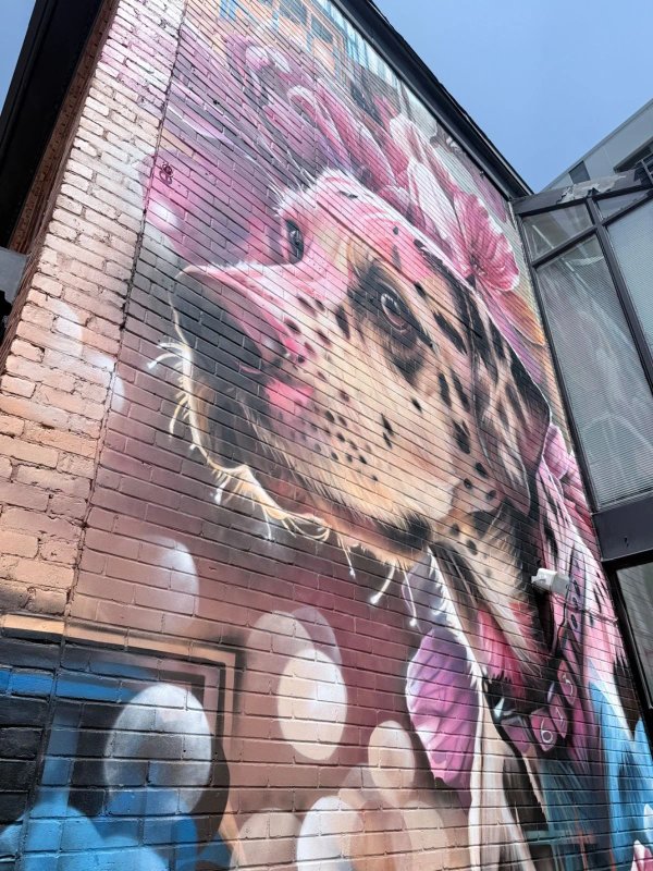 Bank Street Dog Mural by Dom Laporte - Street art mural in The Glebe, Ottawa, Ontario