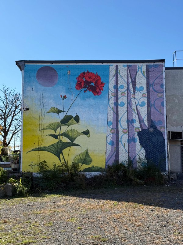 Inconnu street art mural photo 1