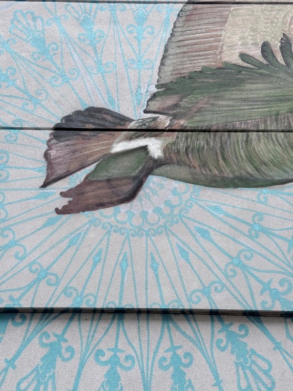 Untitled by Arpi - Mural in Hintonburg, Ontario