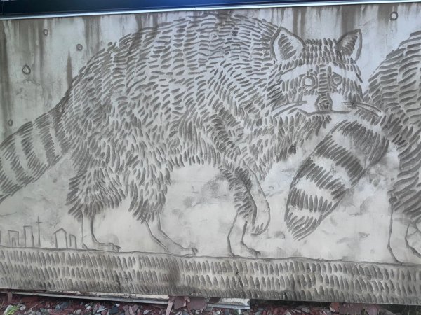 Street art mural in Centretown, Ottawa - Urban art photography
