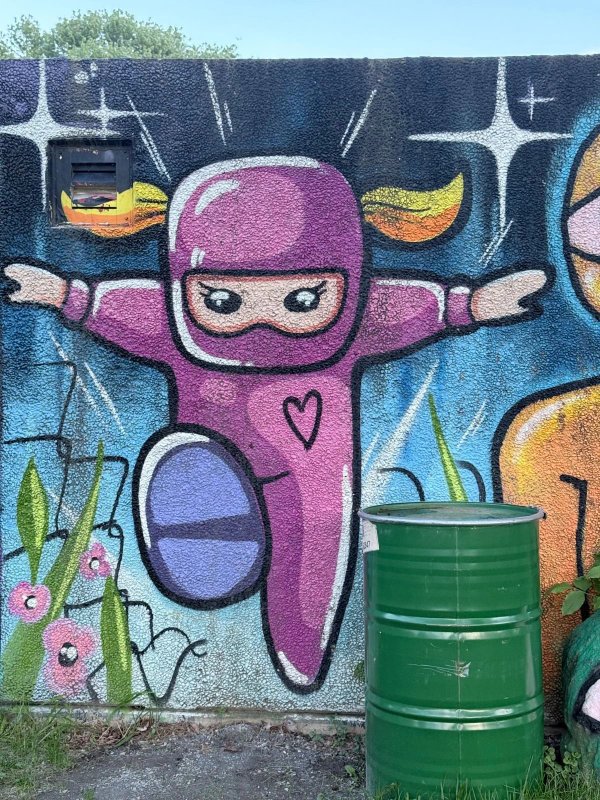 Street art mural in Lincoln Heights, Ottawa - Urban art photography