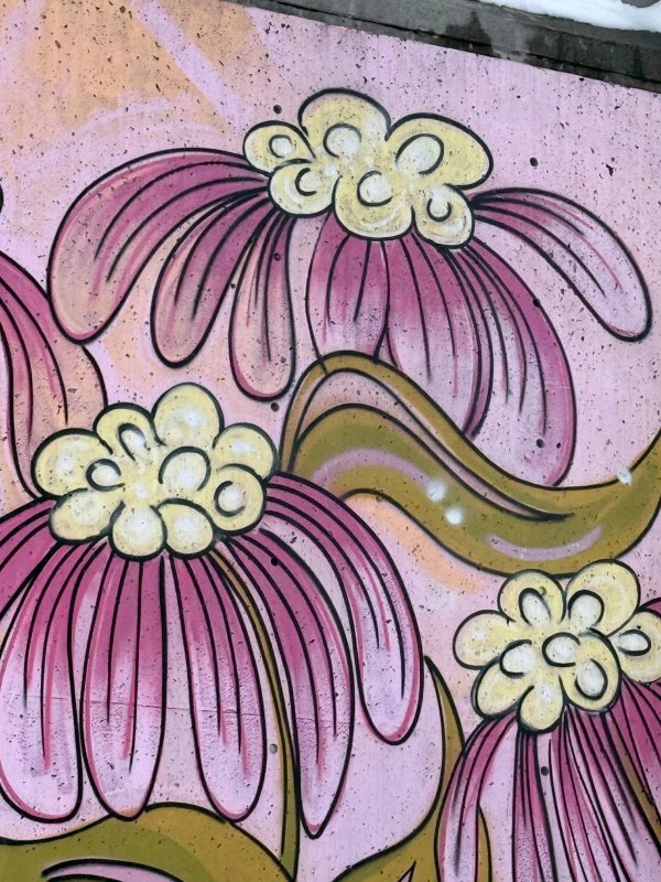 Mural artwork by Coblou - Street art in Byward Market, Ottawa, Ontario