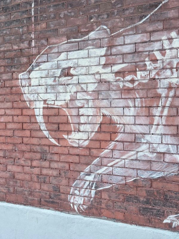 Natural History by Pascale Arpin - Street art mural in Centretown West, Ottawa, Ontario