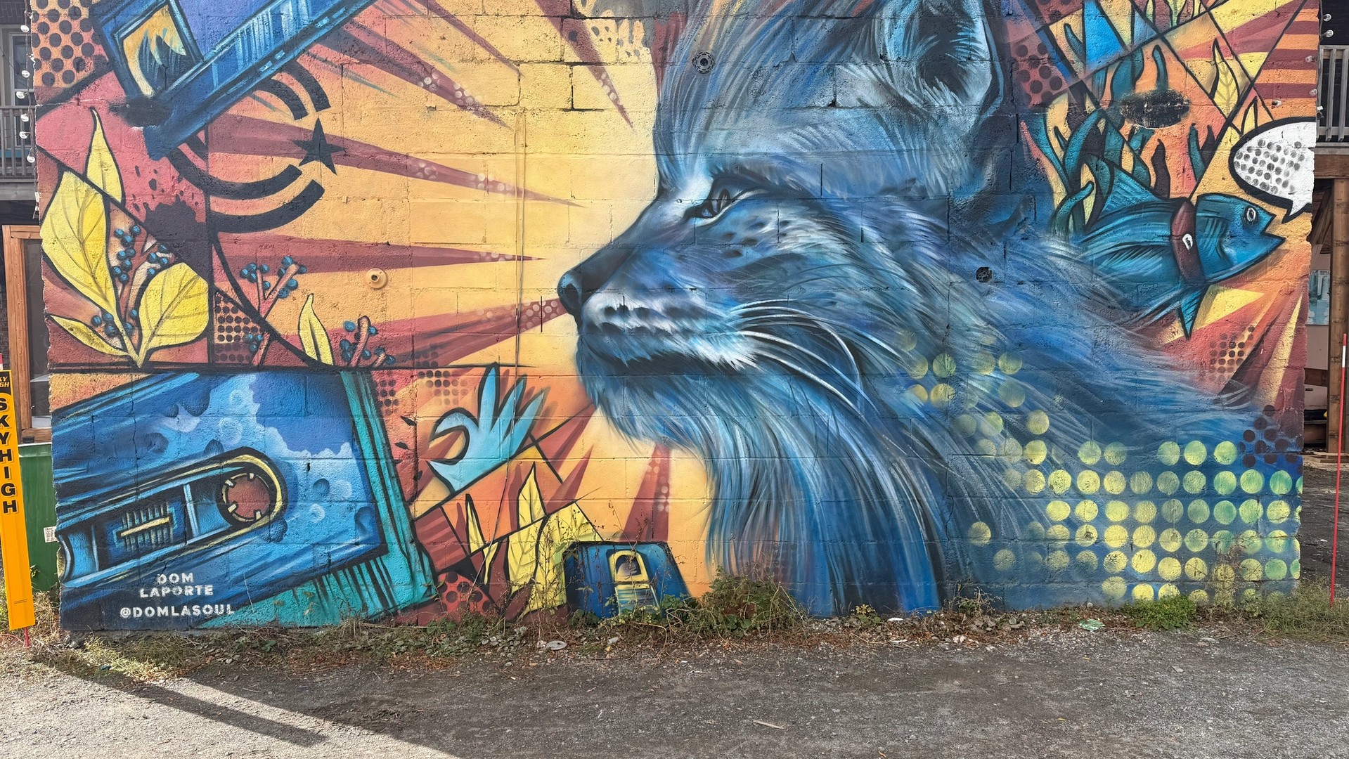 Inconnu mural in The Glebe by Dom Laporte