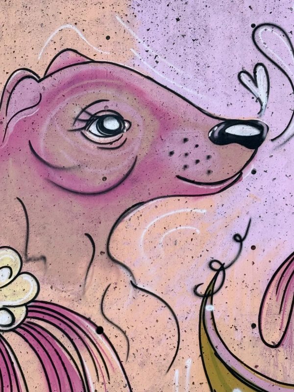 Mural artwork by Coblou - Street art in Byward Market, Ottawa, Ontario