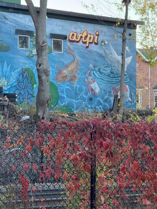 Inconnu street art mural photo 2