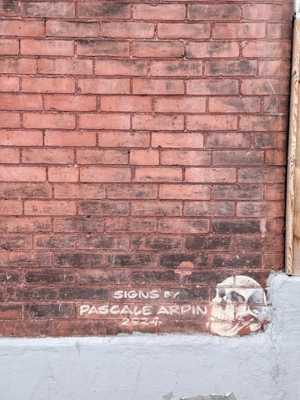 Natural History by Pascale Ardin - Mural in Centretown West, Ontario