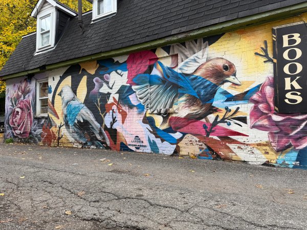 Nature Entwined street art mural photo 1