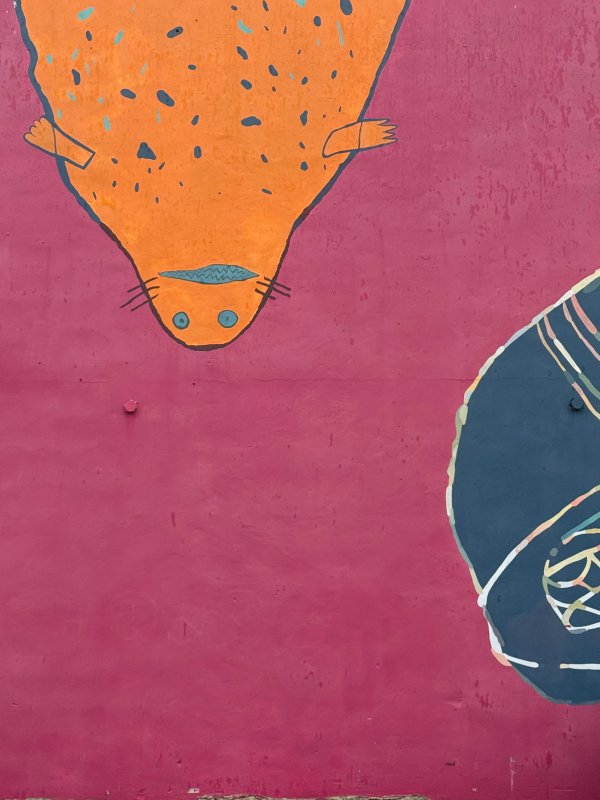 Tunnganarniq street art mural photo 3