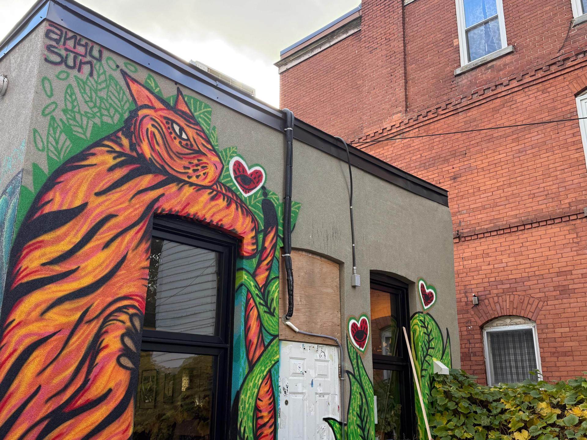 Naranjo Protector mural by Anyu Sun at Arlington Five in Ottawa, showing an orange cat surrounded by evil eye symbols in heart shapes painted in the colours of the Palestinian flag, 2024.