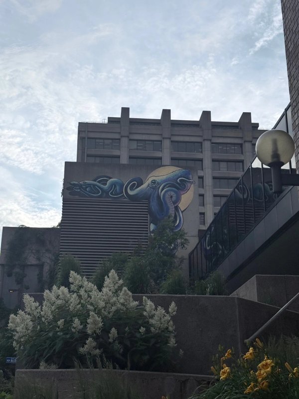 Mural artwork by Marin Mitrasinovic - Street art in Hull, Ottawa, Ontario