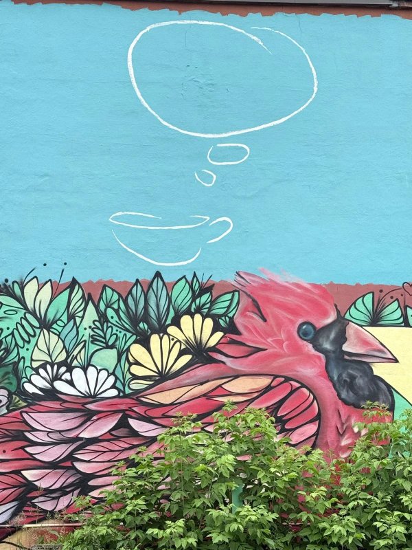 Street art mural in Old Ottawa East, Ottawa - Urban art photography