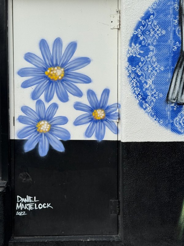 Inconnu street art mural photo 1