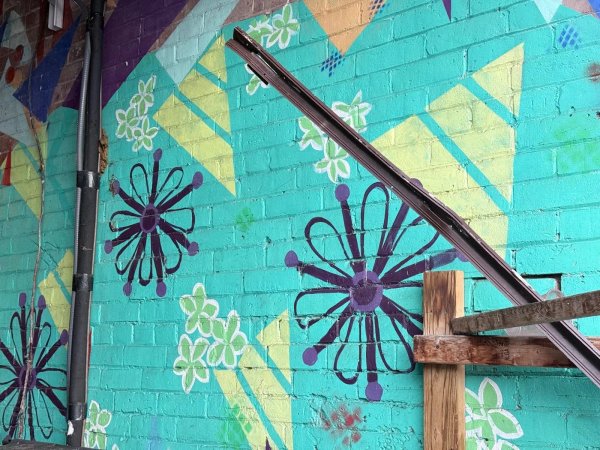 Untitled Submission by Unknown - Mural in Centretown, Ontario