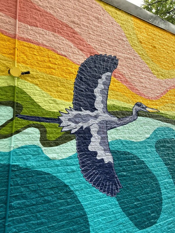 Wurtemburg Community Mural by Stephanie Babij - Street art mural in Sandy Hill, Ottawa, Ontario