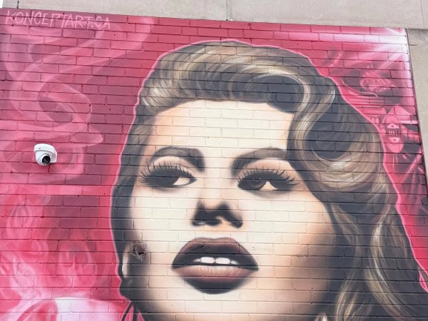 Street art at Bank Street and Glen Ave, Ottawa. A large-scale pink and monochromatic portrait mural on a red brick wall in the Glebe. Documented by OTTAWALLS, an interactive mural map and living archive for Ottawa-Gatineau public art.
