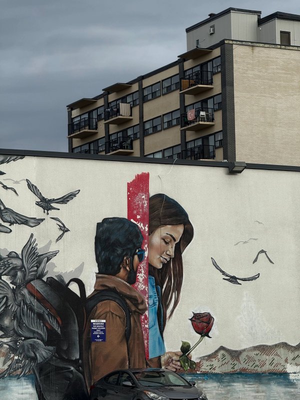 Freedom to Roam street art mural photo 1