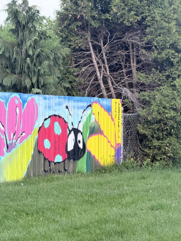 Mural artwork by TRP613 - Street art in Lincoln Heights, Ottawa, Ontario