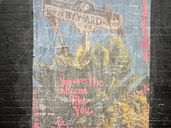 Realism wheatpaste mural by calligraphyqueen in Centretown reading "You are the only one like you" with blue sky and plants visible.