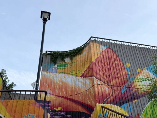 Mural artwork by Marin Mitrasinovic - Street art in Hull, Ottawa, Ontario