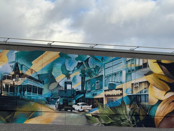 Metro Beechwood street art mural photo 1