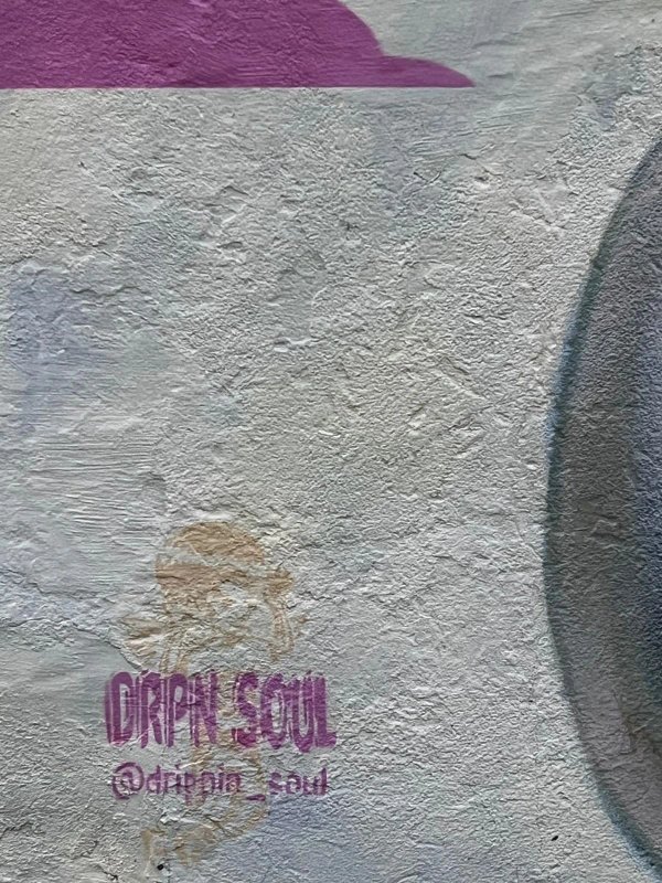 Mural artwork by Kalkidan Assefa - Street art in Mechanicsville, Ottawa, Ontario