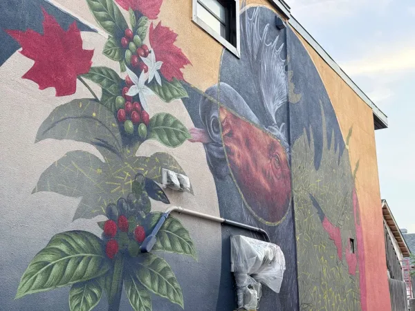 Murale par Jhon Ramirez au 187 Rue Eddy (2025) by Jhon Ramirez