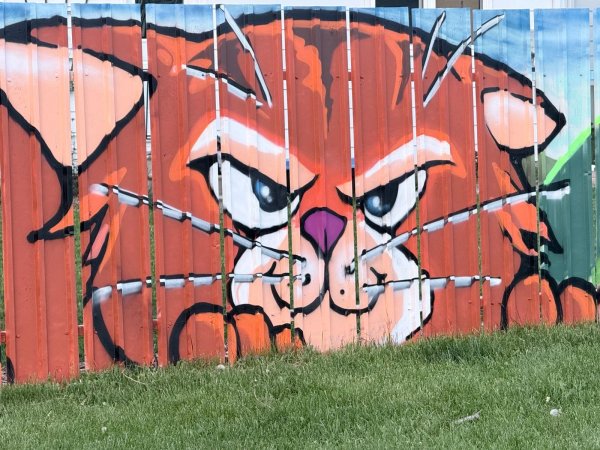 Mural artwork by TRP613 - Street art in Lincoln Heights, Ottawa, Ontario