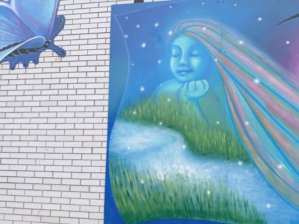 Mural artwork by Claudia Salguero - Street art in Golden Triangle, Ottawa, Ontario