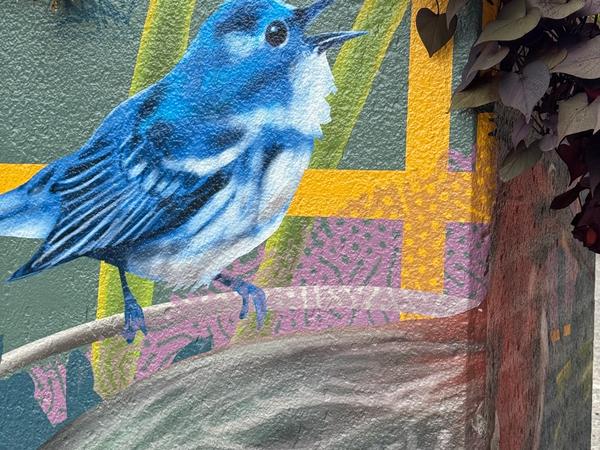 Lowertown Flower Boxes