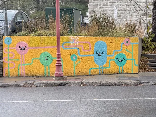 Youth for a Fun & Colourful Community by Jared Lebel