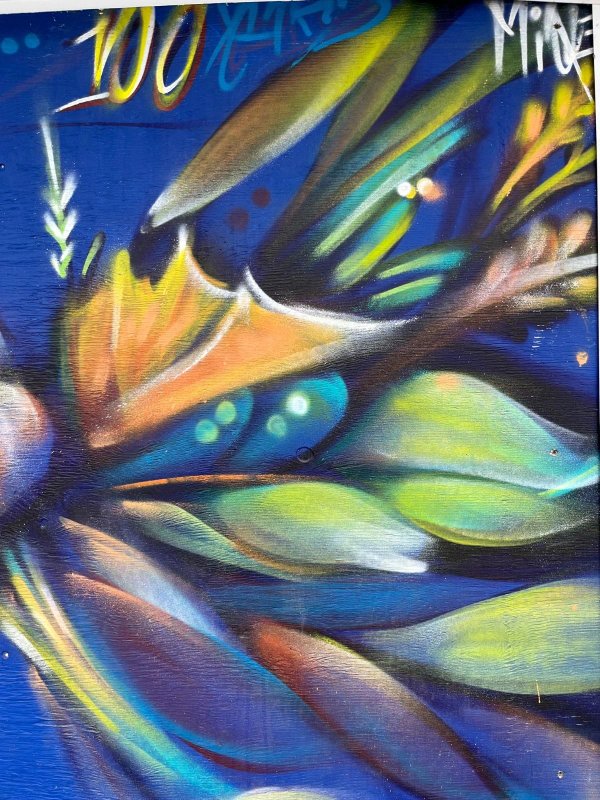 Mural artwork by Mique Michelle - Street art in Hintonburg, Ottawa, Ontario