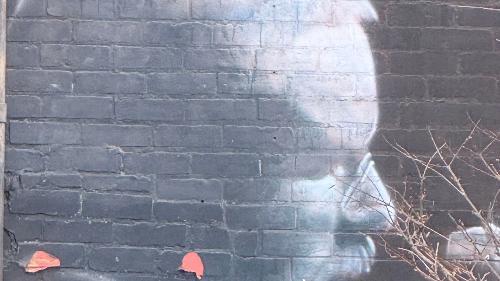 Public mural artwork on the side of Paper Tiger in Rideau Gardens, Ottawa - Street art scene