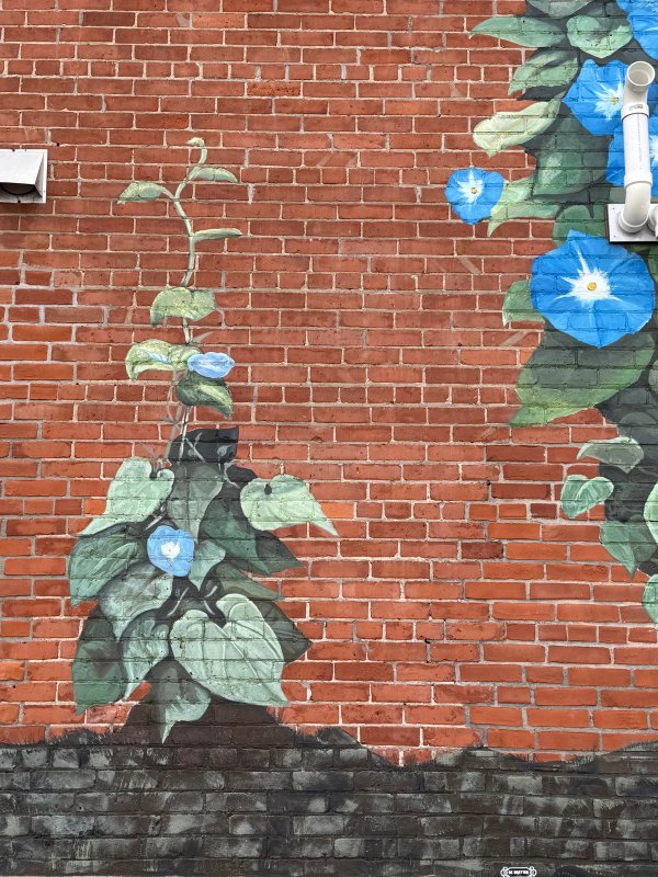 Morning Glory street art mural photo 2