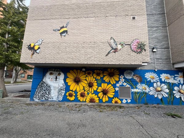 Urban Art Index: Centretown mural showing a large blue and white floral pattern with birds. Mural Map Ottawa Gatineau. OTTAWALLS.