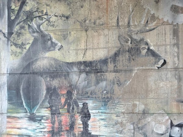 Urban street art in Byward Market, Ottawa - Mural photography