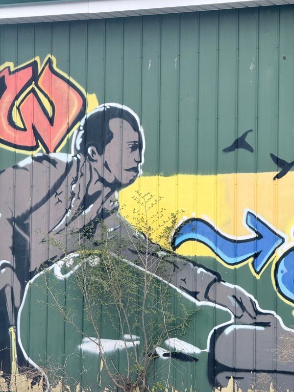 Public mural artwork in Westboro Beach, Ottawa - Street art scene