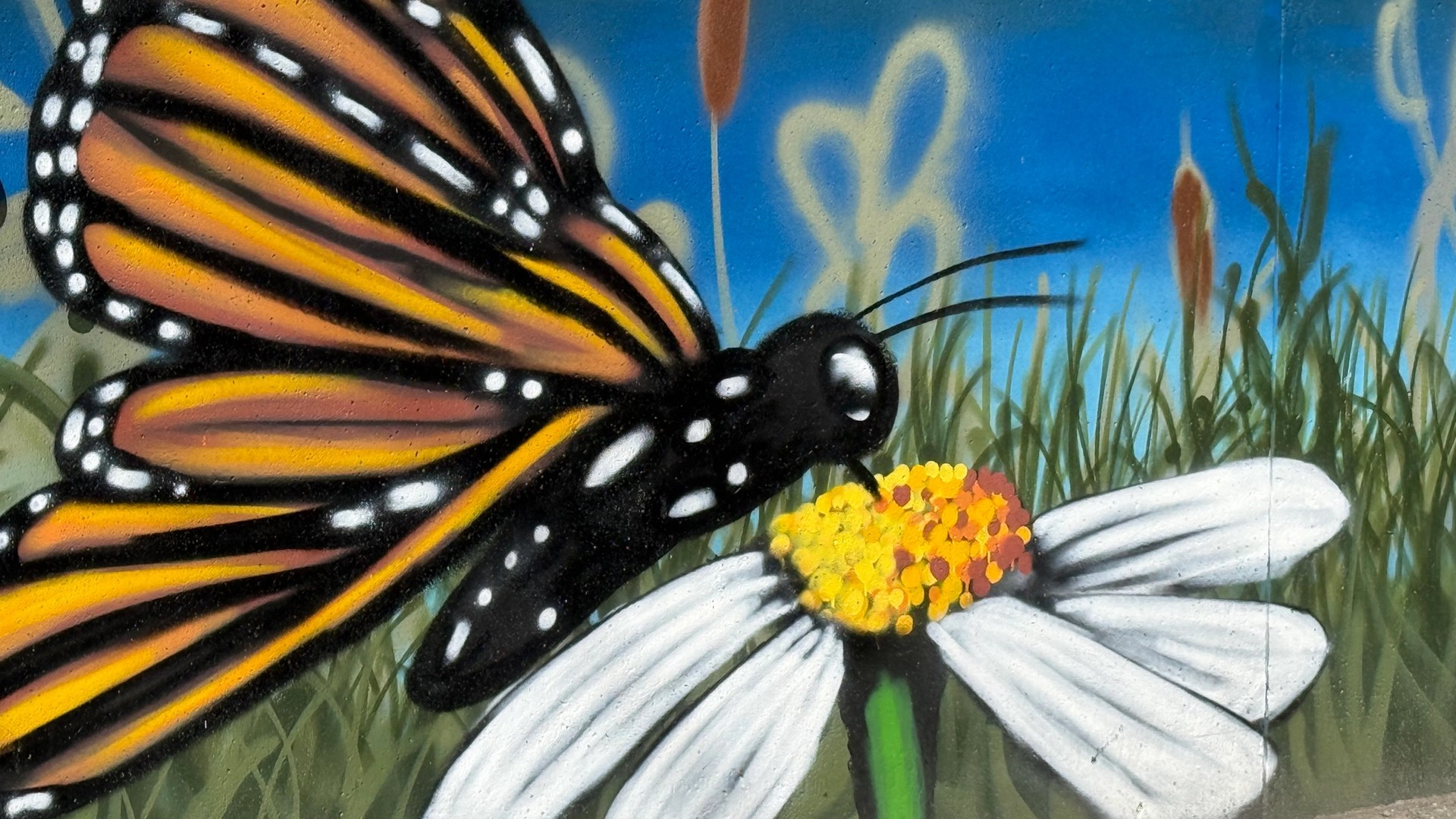 Inconnu mural in Centretown by Emilie Darlington