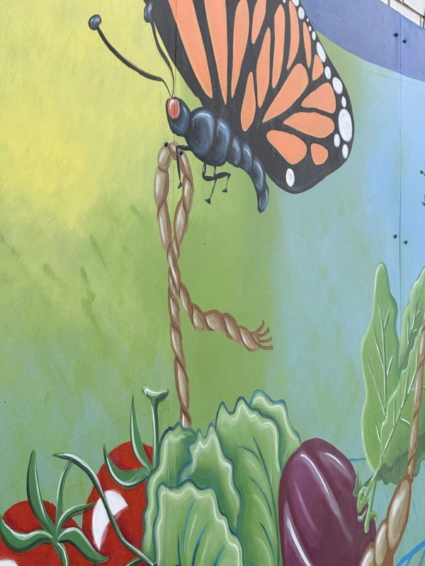 Mural artwork by Claudia Salguero - Street art in Golden Triangle, Ottawa, Ontario